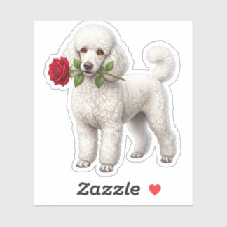 ‏Cute Poodle Dog