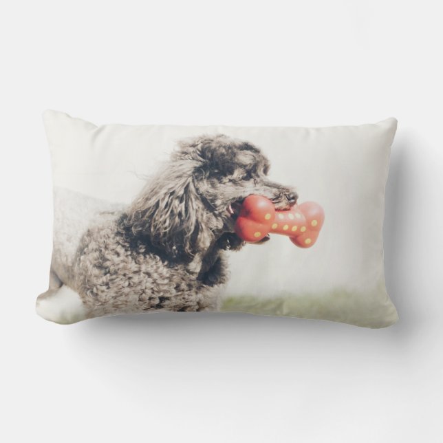 Cute Poodle Dog Face Toy Bone Lumbar Cushion (Front)