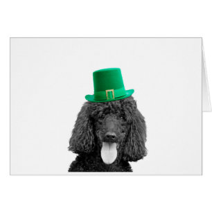 Cute Poodle Dog Hat St. Patrick Day