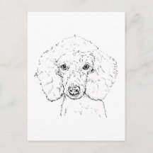 Cute Poodle Dog Illustration, Hand Drawn