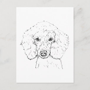 Cute Poodle Dog Illustration, Hand Drawn Postcard
