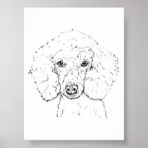 Cute Poodle Dog Illustration, Hand Drawn