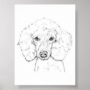 Cute Poodle Dog Illustration, Hand Drawn Poster