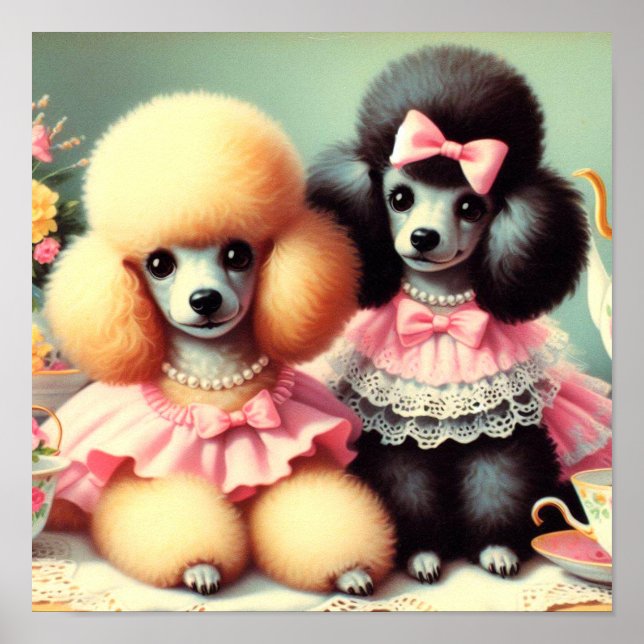 Cute Poodle Illustration Poster (Front)