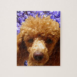 Cute Poodle Jigsaw Puzzle