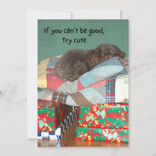 Cute Poodle Lying on Christmas Presents Holiday Card (Front)