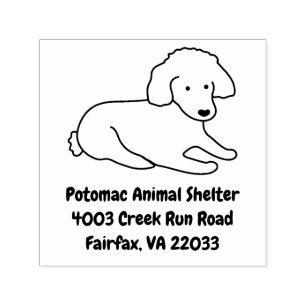 Cute Poodle Puppy Dog Lover Self-inking Stamp