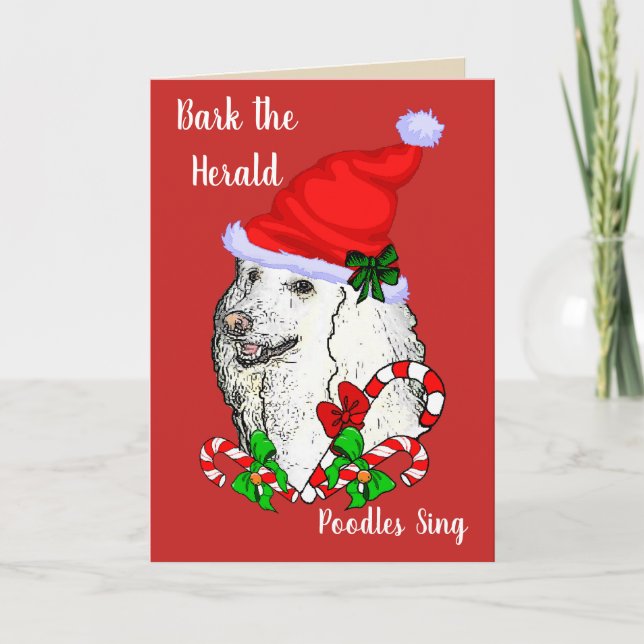 Cute Poodle Santa Christmas Holiday Card (Front)