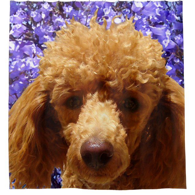 Cute Poodle Shower Curtain (Front)