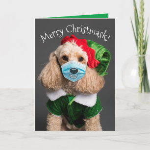 Cute Poodle With Face Mask- Merry Christmask! Holiday Card