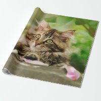 Cute Portrait Maine Coon Cat Kitten in a Garden -