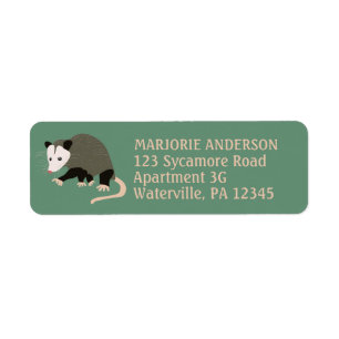 Cute Possum Illustration Green Return Address Return Address Label