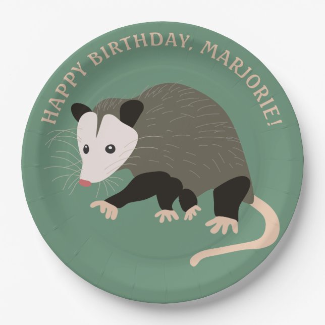 Cute Possum Illustration Light Green Personalised Paper Plate (Front)