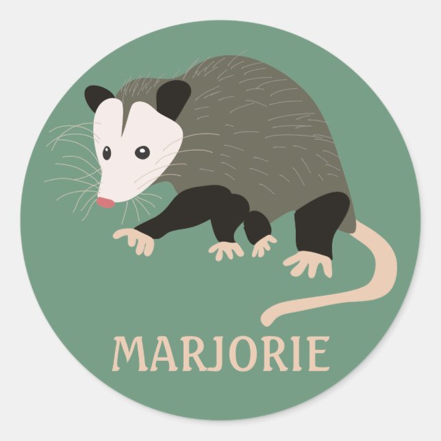 Cute Possum Illustration Personalised Light Green Classic Round Sticker (Front)