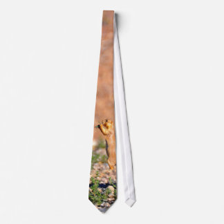 Cute prairie dog tie