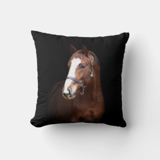 Cute pretty foal horse black background cushion