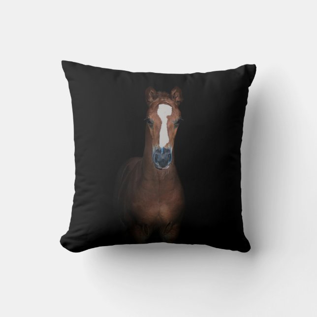 Cute pretty foal horse black background cushion (Front)