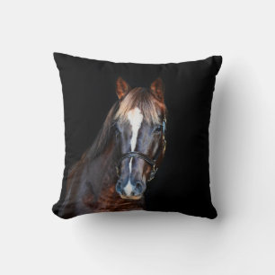 Cute pretty foal horse black background cushion