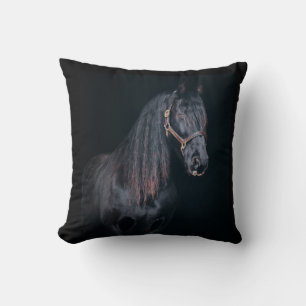 Cute pretty foal horse black background cushion