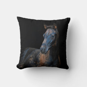 Cute pretty foal horse black background cushion