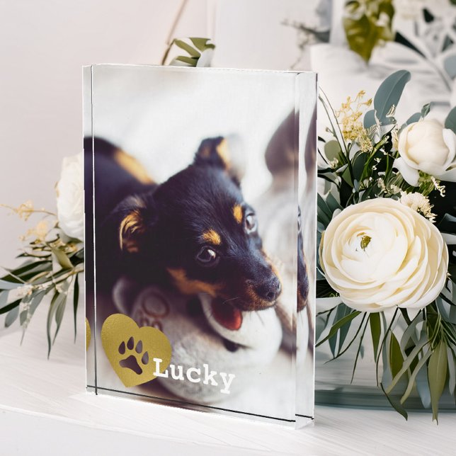 Cute Printed Gold Paw Print Pet Photo (Creator Uploaded)