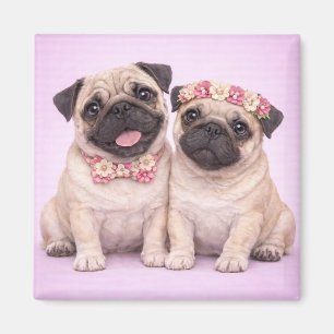 Cute Pug Couple Valentine Illustration Magnet