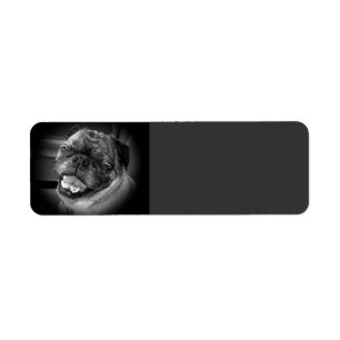 Cute Pug Dog Avery Label Return Address Label