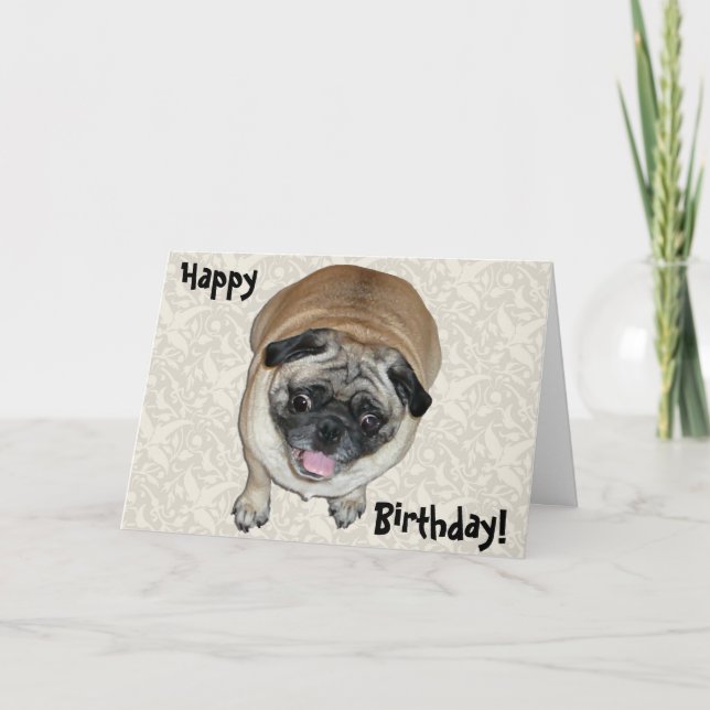 Cute Pug Dog Birthday Card (Front)