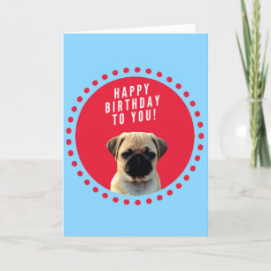 Cute Pug Dog Happy Birthday Blue Greeting Card