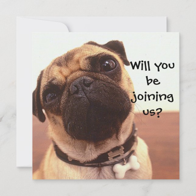 Cute Pug Dog Personalised Party Invites (Front)