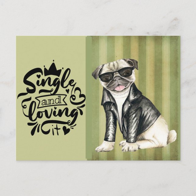 Cute Pug Dude | Single And Loving It Valentine Holiday Postcard (Front)