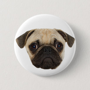 Cute Pug Gifts 6 Cm Round Badge