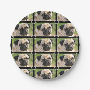 Cute Pug Paper Plate