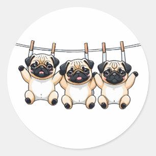 Cute pug puppies Classic Round Sticker