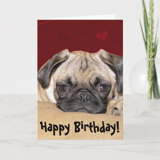 Cute Pug Puppy Birthday Wish Card (Front)