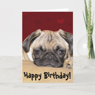 Cute Pug Puppy Birthday Wish Card