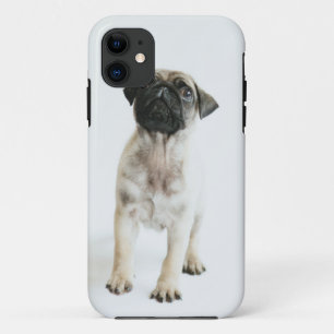 Cute Pug Puppy iPhone 11 Case
