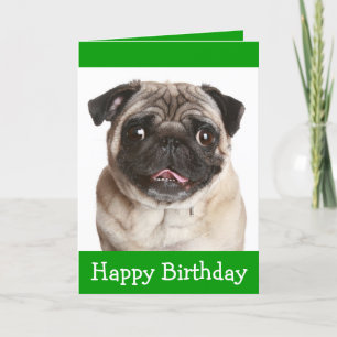 Cute Pug Puppy Dog Happy Birthday Greeting Card
