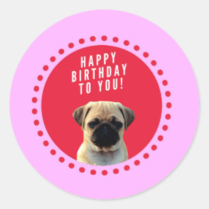 Cute Pug Puppy Dog Happy Birthday Red Dots Pink Classic Round Sticker
