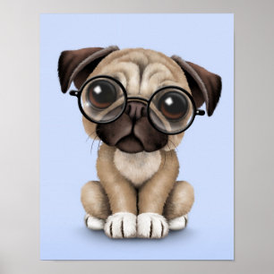 Cute Pug Puppy Dog Wearing Reading Glasses, Blue Poster