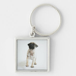 Cute Pug Puppy Key Ring