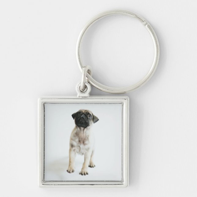 Cute Pug Puppy Key Ring (Front)