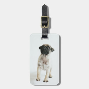 Cute Pug Puppy Luggage Tag