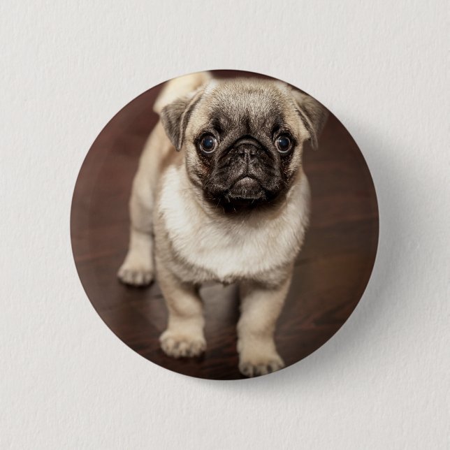 Cute Pug Puppy Photo 6 Cm Round Badge (Front)