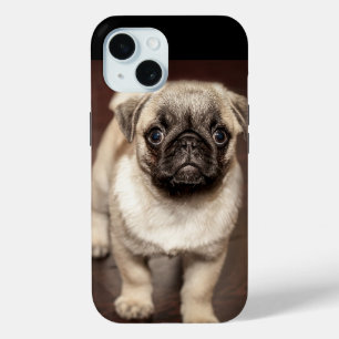 Cute Pug Puppy Photo iPhone 15 Case