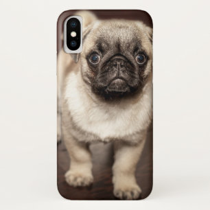Cute Pug Puppy Photo iPhone X Case