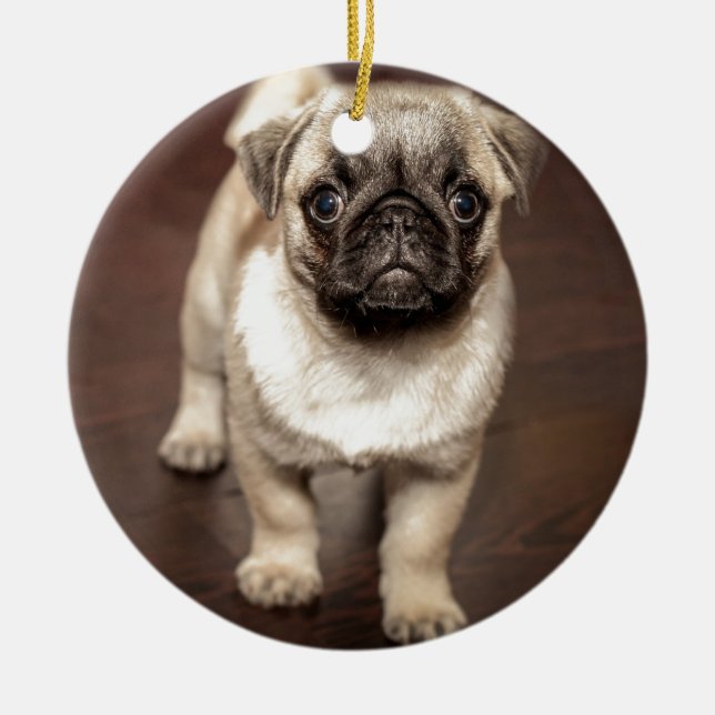 Cute Pug Puppy Photo Ceramic Ornament (Front)