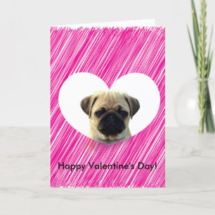 Cute Pug Puppy Pink Heart Happy Valentine's Day Holiday Card