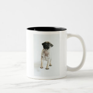 Cute Pug Puppy Two-Tone Coffee Mug