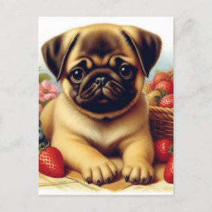 Cute Pug Vintage Painting Postcard